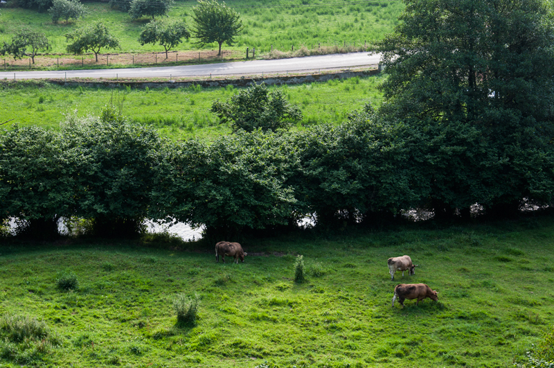 NATURALEZA, PAISAJES, ARQUITECTURA...